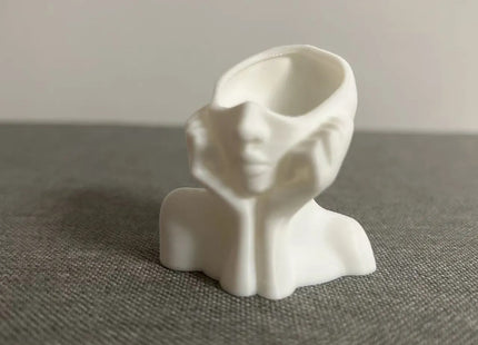Modern Face Planter | 3D Printed Decorative Succulent Pot | Giftonique