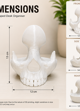 Skull Shape Specs Holder for Eyeglasses and Sunglasses | Giftonique