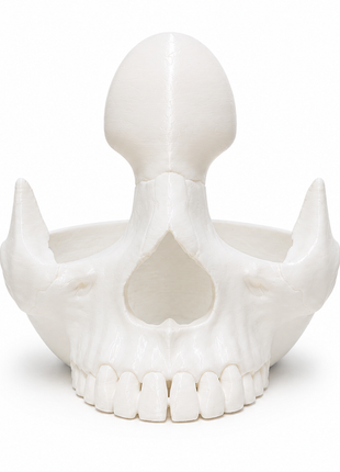 Skull Shape Specs Holder for Eyeglasses and Sunglasses | Giftonique