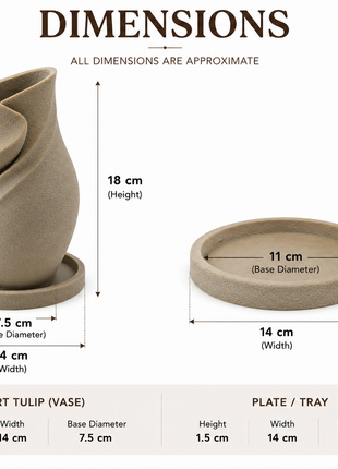 Desert Tulip Decorative Vase with Tray for Modern Home Decor | Giftonique